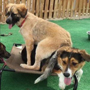 Meet your Posher, Kim